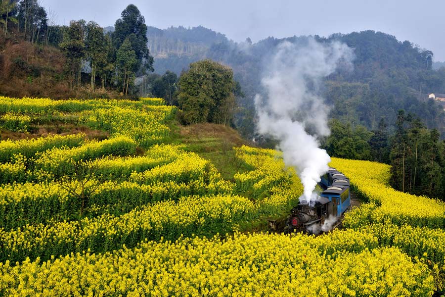 10 places to enjoy canola flowers in China