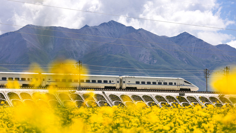 10 places to enjoy canola flowers in China