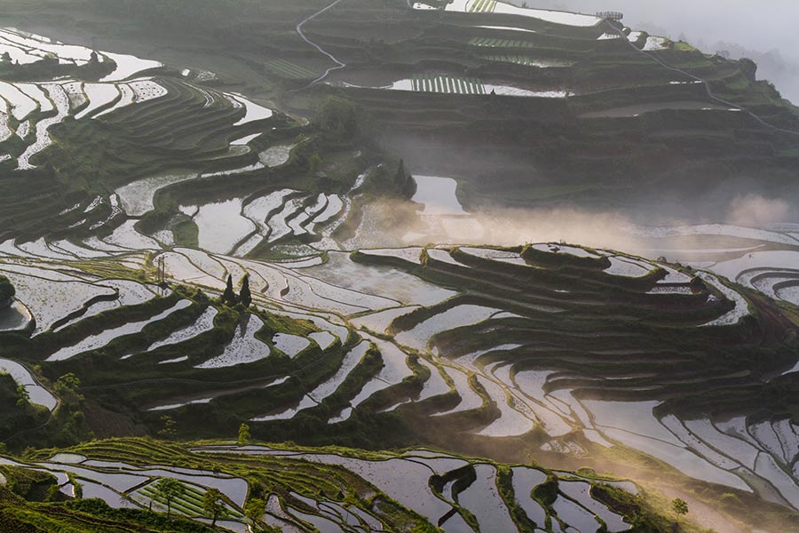 Youyang terraces in Chongqing capture beauty of nature