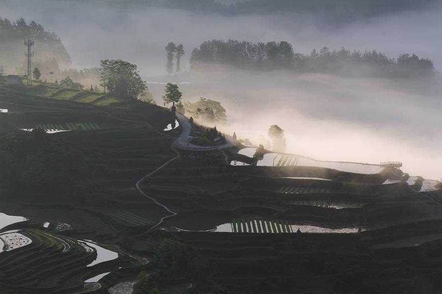 Youyang terraces in Chongqing capture beauty of nature