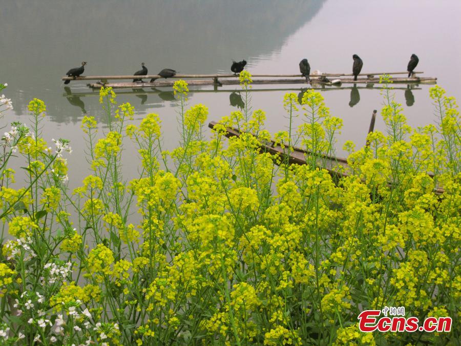 Xin'an River offers wonderful views