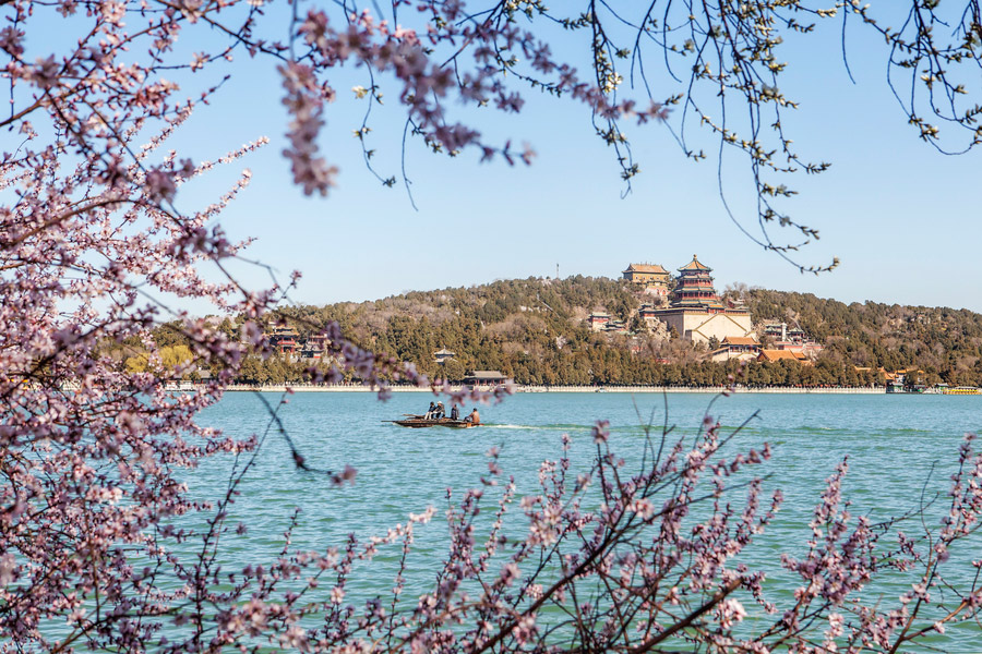 Admiring the spring scenery at the Summer Palace