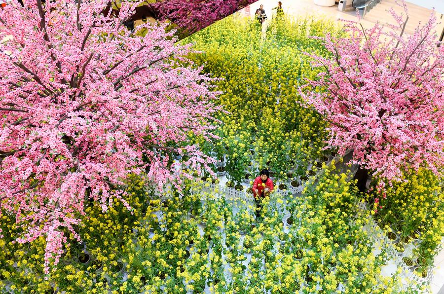 Mall brings spring scenery indoor to attract consumers