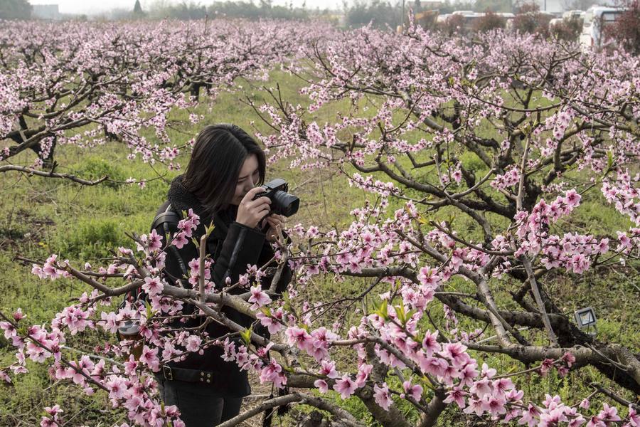 Spring scenery of Fengshan town in Hubei