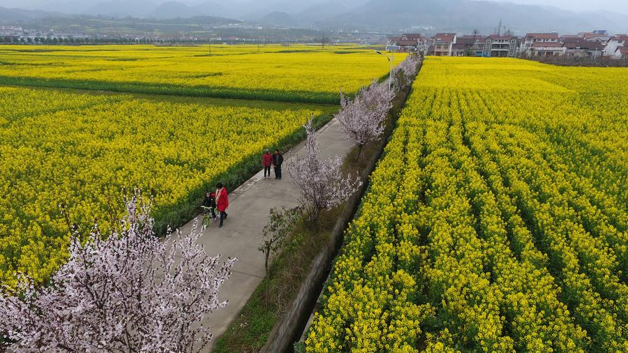 Spring scenery at the foot of Tiandang Mountain