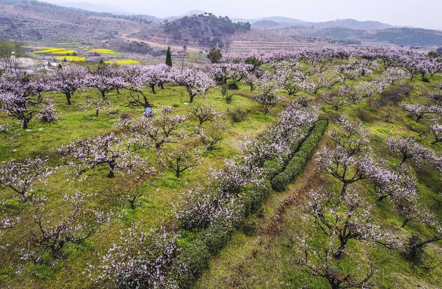 Spring scenery of Fengshan town in Hubei