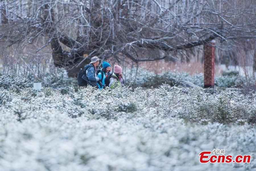 Spring snow adds beauty to Lhasa