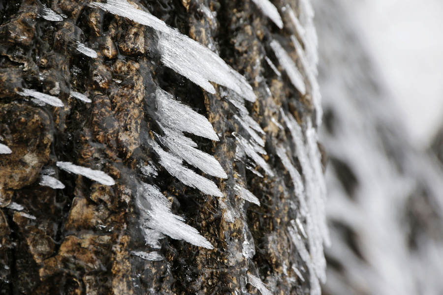 Spectacular glazed ice seen in Nanyang city