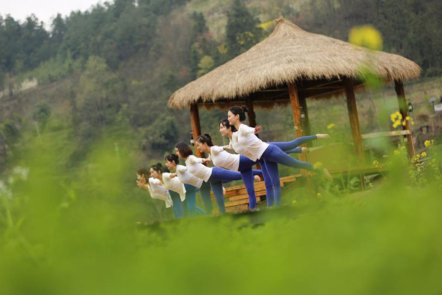 Yoga fans practise yoga on farmland of flowers in Zhangjiajie