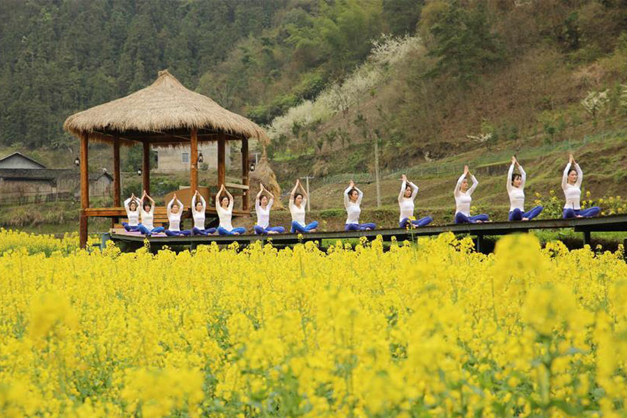 Yoga fans practise yoga on farmland of flowers in Zhangjiajie