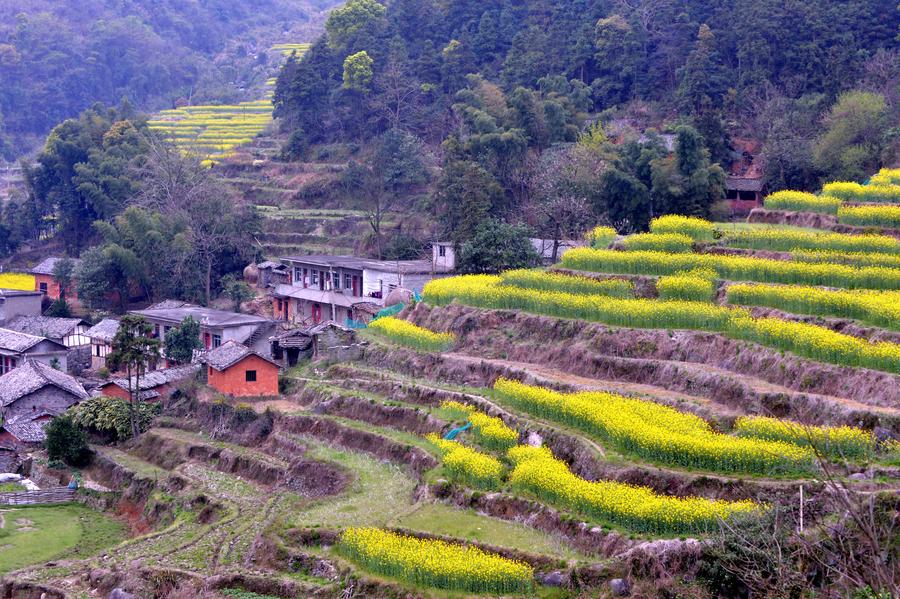 Ecological conditions improve in Wanli district, Nanchang city