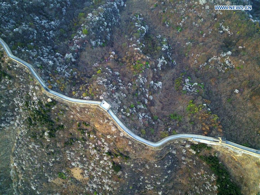 Spring scenery of Mutianyu section of Great Wall in Beijing