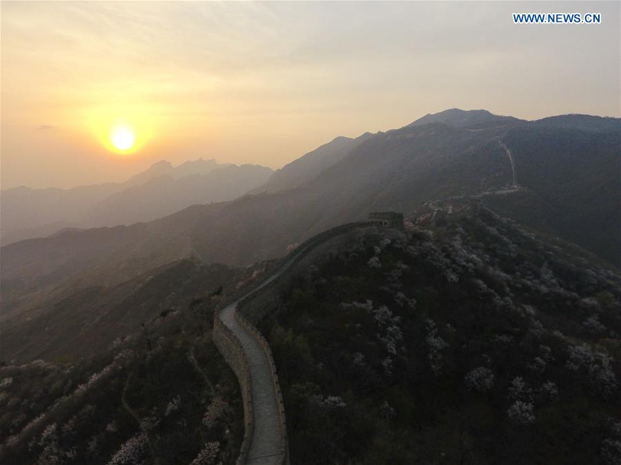 Spring scenery of Mutianyu section of Great Wall in Beijing