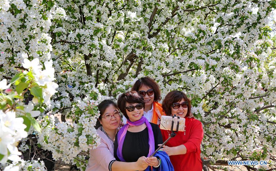 In pics: blooming flowers in Huailai county, N China's Hebei