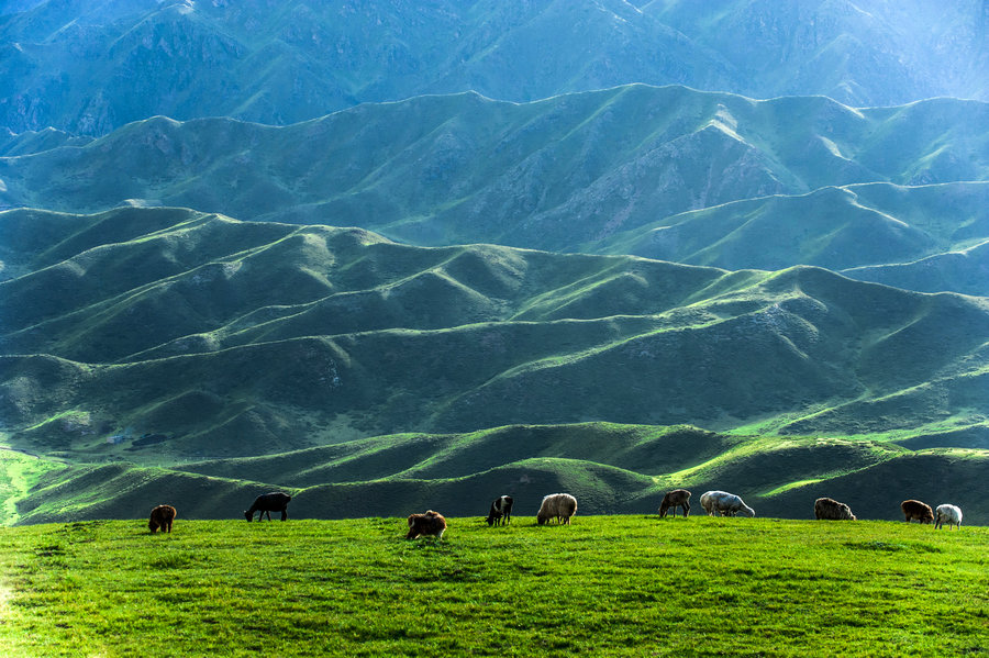 The natural beauty of Xinjiang amazes people