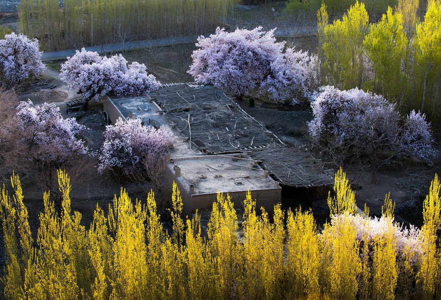 The natural beauty of Xinjiang amazes people