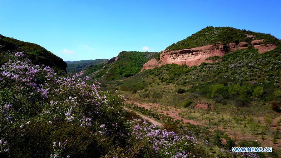 Huoshizhai National Geopark attracts tourists in NW China