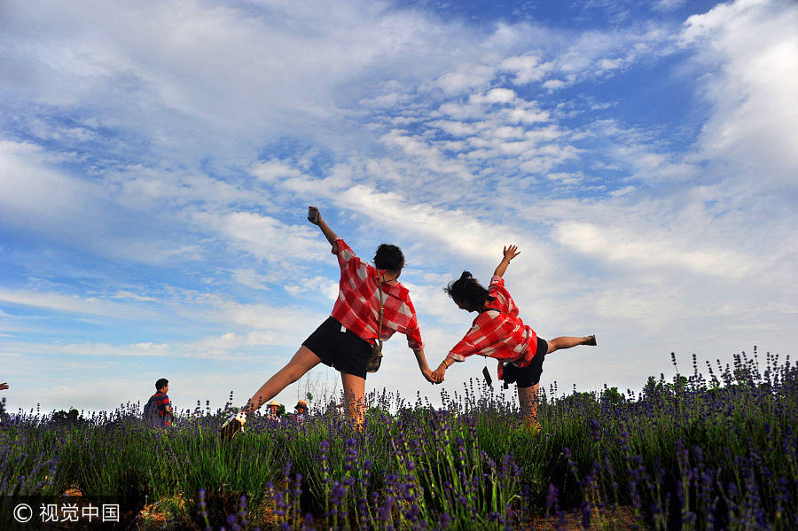 Crowds flock to free Vanilla Garden in Shanghai