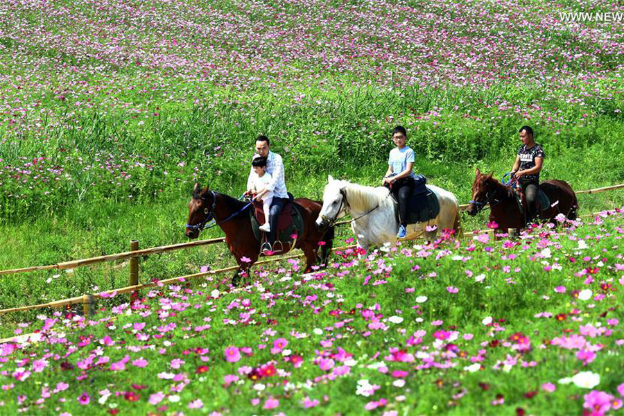 Tourists have fun in flowers at parks in E China