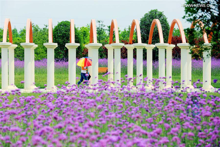 Tourists have fun in flowers at parks in E China