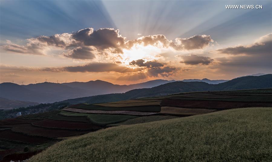 Scenery of Dongchuan Red Land in Yunnan
