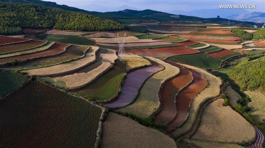 Scenery of Dongchuan Red Land in Yunnan