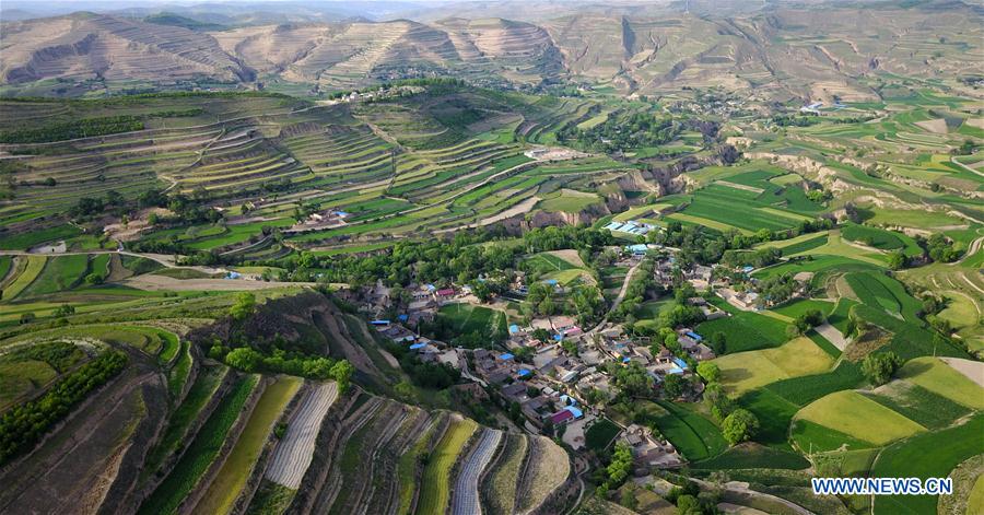 In pics: terraces in NW China