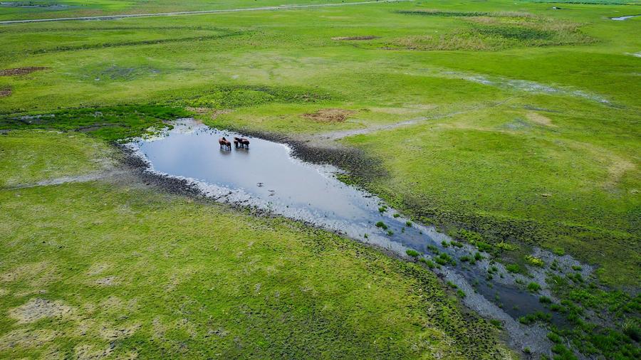 Aerial view of Hulun Buir grassland