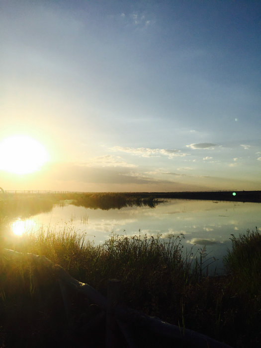 Natural beauty of Gaojiahu wetland in Xinjiang's summer