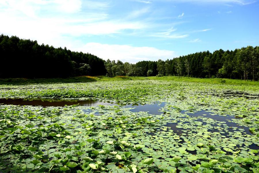 Jingyuetan, a paradise for wildlife