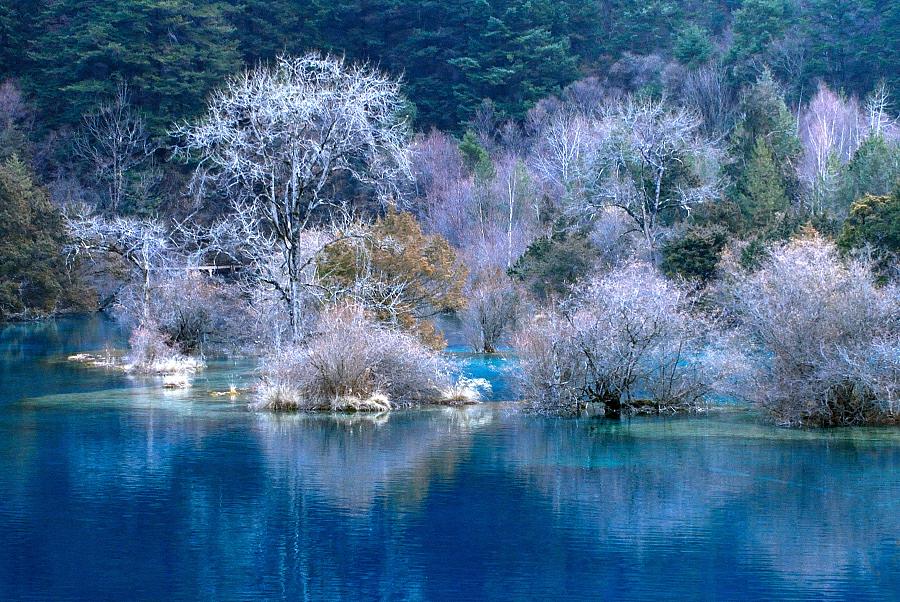 Revisiting natural wonders of quake-hit Jiuzhaigou