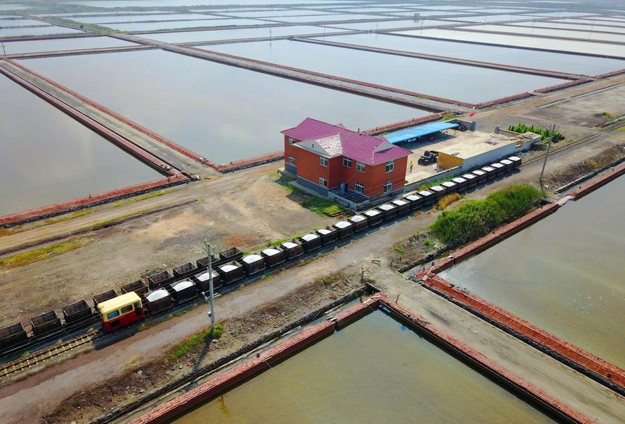 Salt fields enter into harvest season in Liaoning