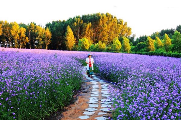 Tourists attracted to China's beauty