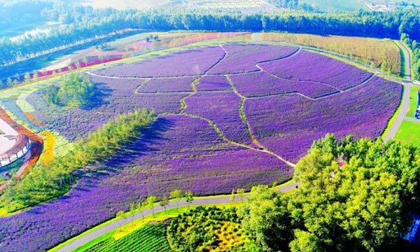 Tourists attracted to China's beauty