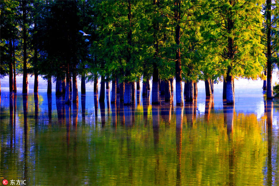 Picturesque Qishu Lake in morning light