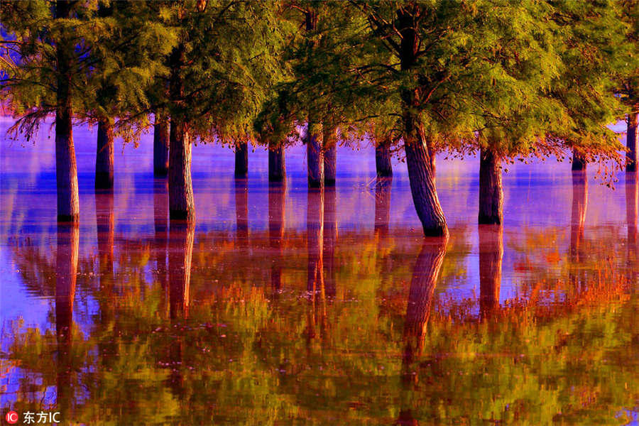 Picturesque Qishu Lake in morning light