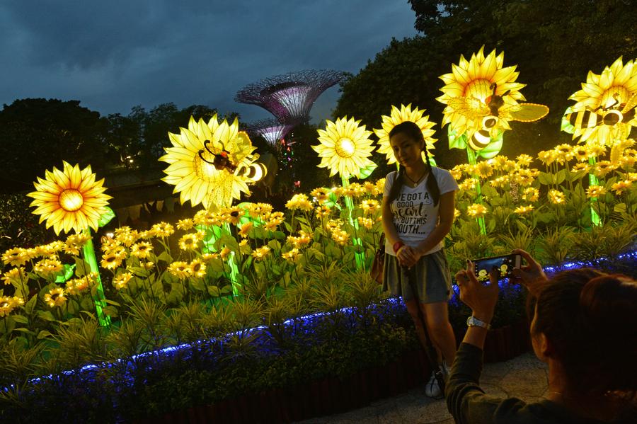Mid-Autumn festival lights shine at Singapore's Gardens by the Bay