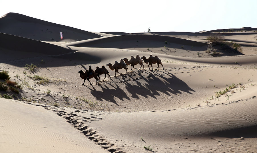 Transformation of Kubuqi Desert: From barren sand dunes to enchanting paradise