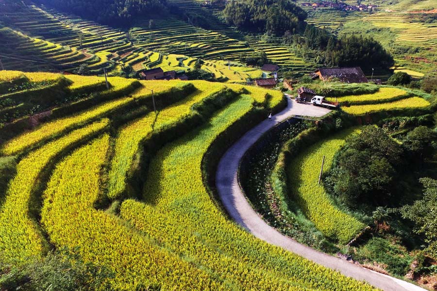 Aerial view of beautiful terraces in E China