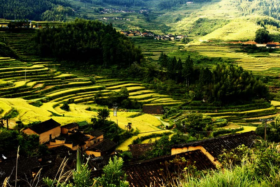 Aerial view of beautiful terraces in E China