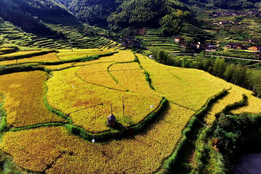 Aerial view of beautiful terraces in E China