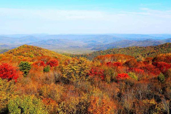 Jilin in autumn: Warm sunshine, bright colors and vibrant scenery