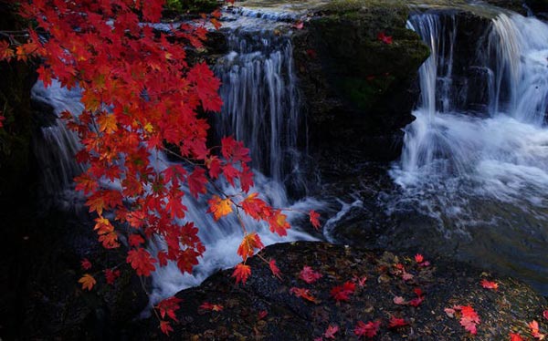 Jilin in autumn: Warm sunshine, bright colors and vibrant scenery