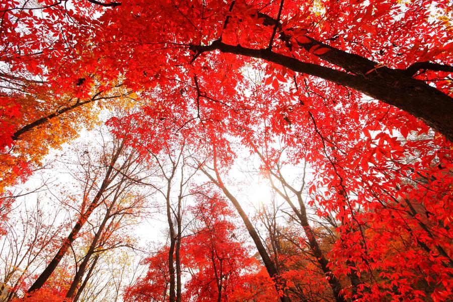 Colors of autumn around China