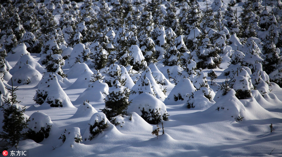 Beautiful snow scenery seen in Balikun county, China's Xinjiang