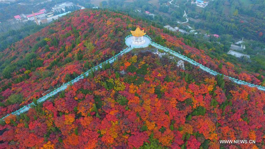 Stunning snapshots from autumn scenery across China
