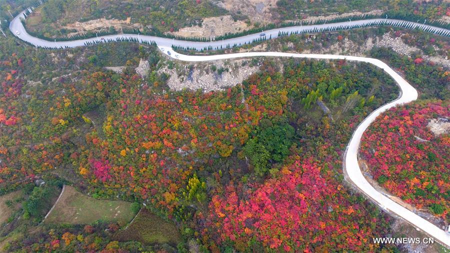Stunning snapshots from autumn scenery across China