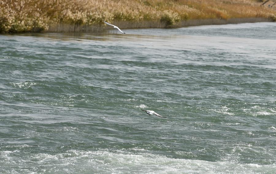 Scenery of Daxihaizi Reservoir on Tarim River in Xinjiang