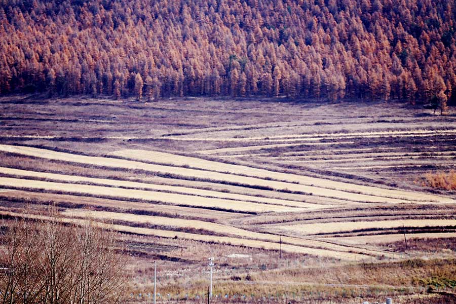 Late autumn scenery in Zhangjiankou, Hebei pr