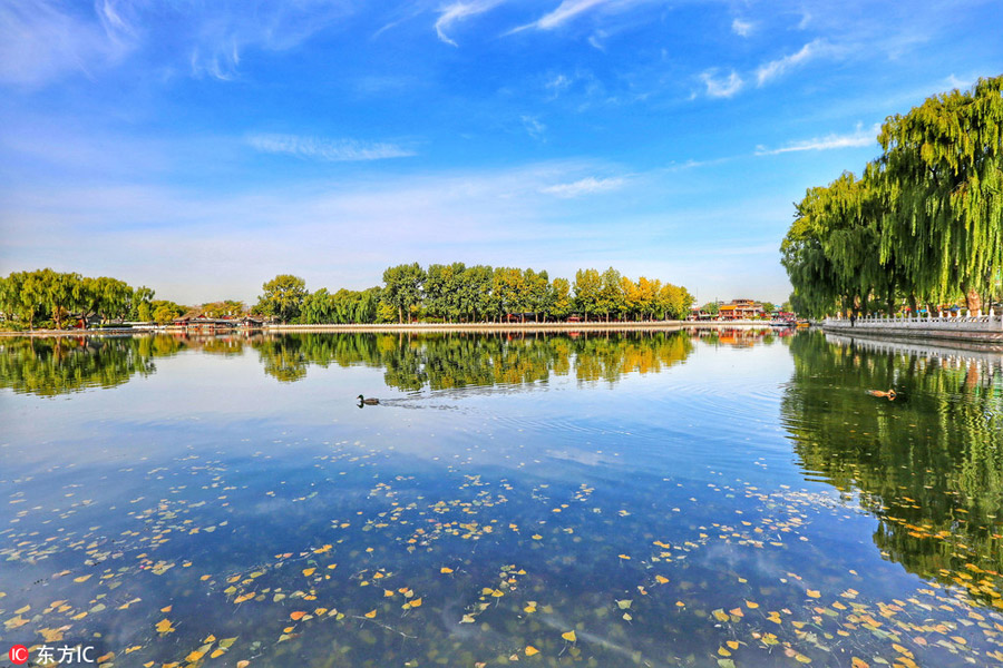 Autumn scenery in Shichahai